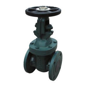 铸铁明杆闸阀 R-CGV-B