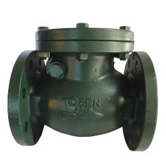 铸铁旋启式止回阀CCV-B