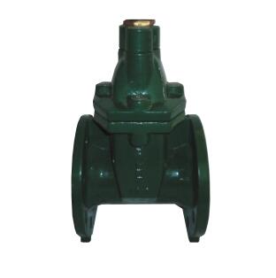 球墨铸铁弹性暗杆闸阀 DRGV-A